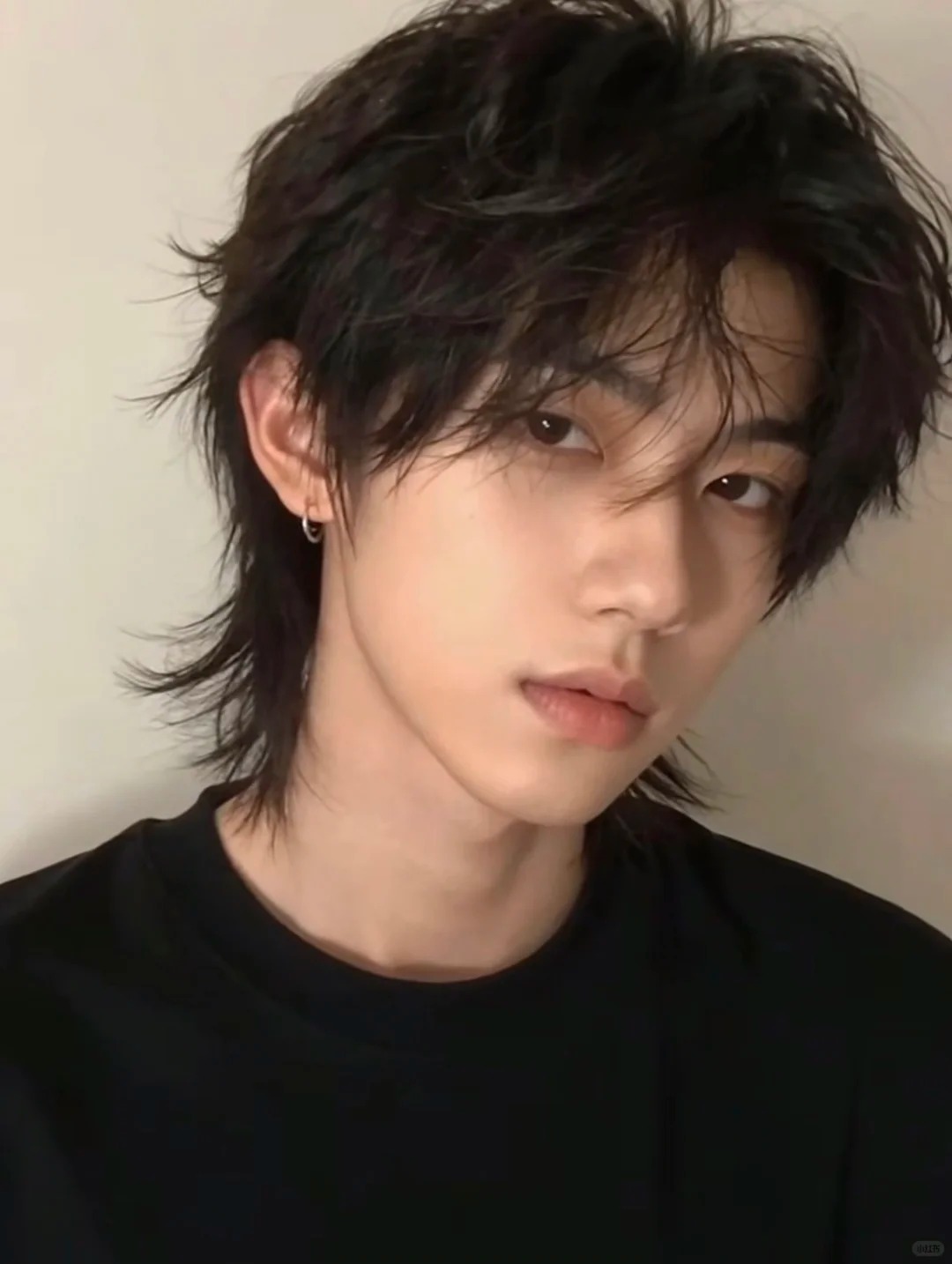 狼尾鲻鱼头