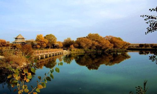 喀什地区金湖杨景区